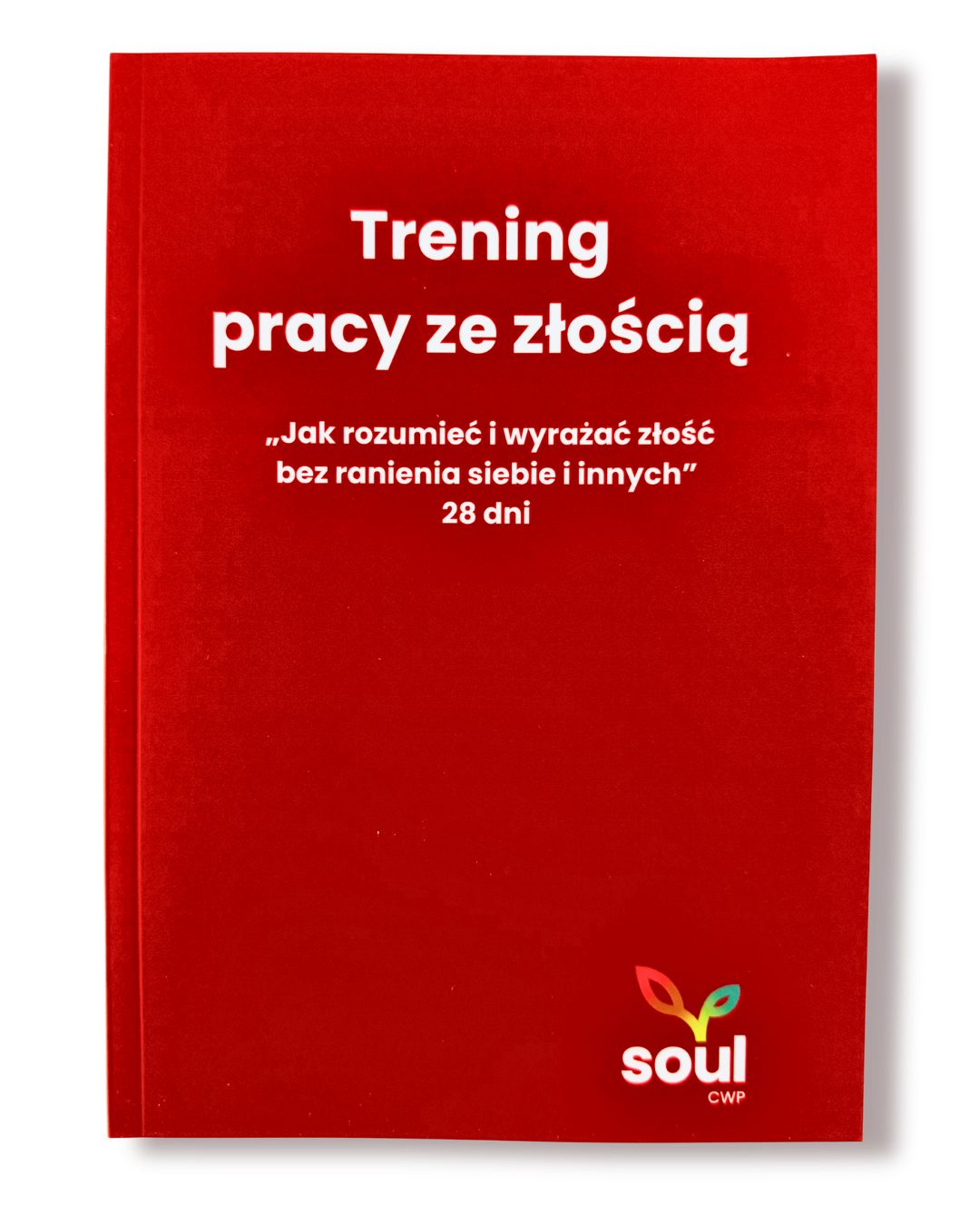 Notes Soul - Trening pracy ze złością
