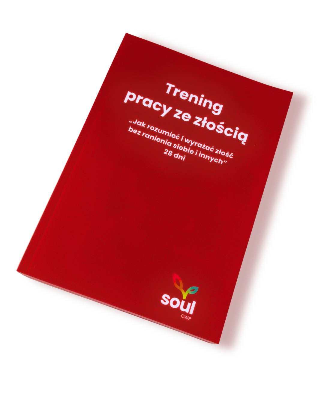 Notes Soul - Trening pracy ze złością
