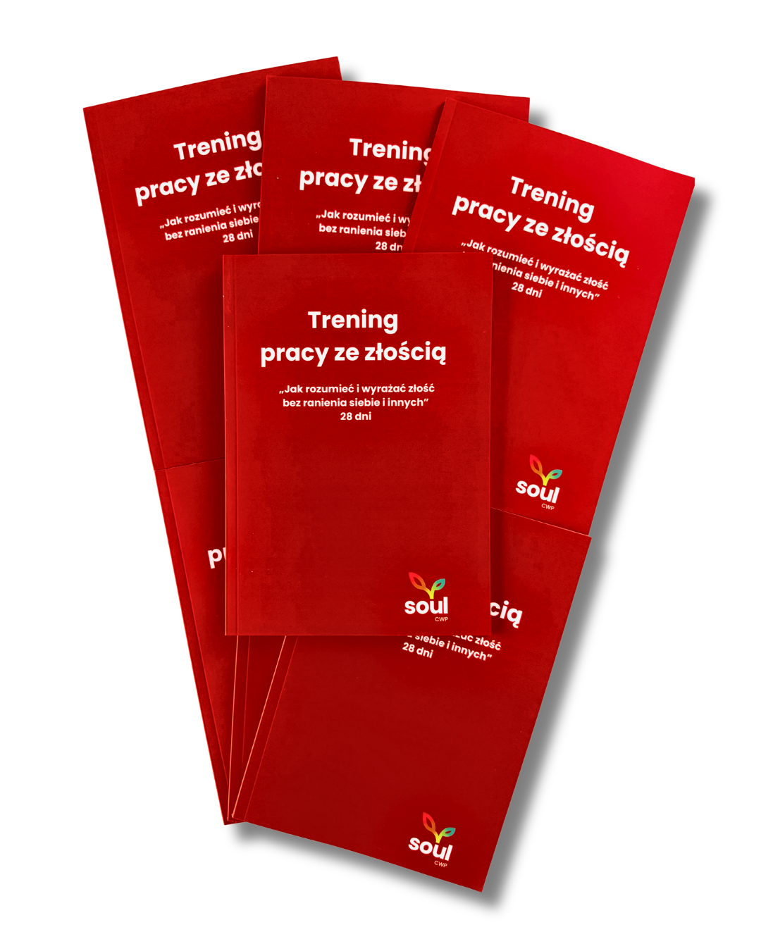 Notes Soul - Trening pracy ze złością