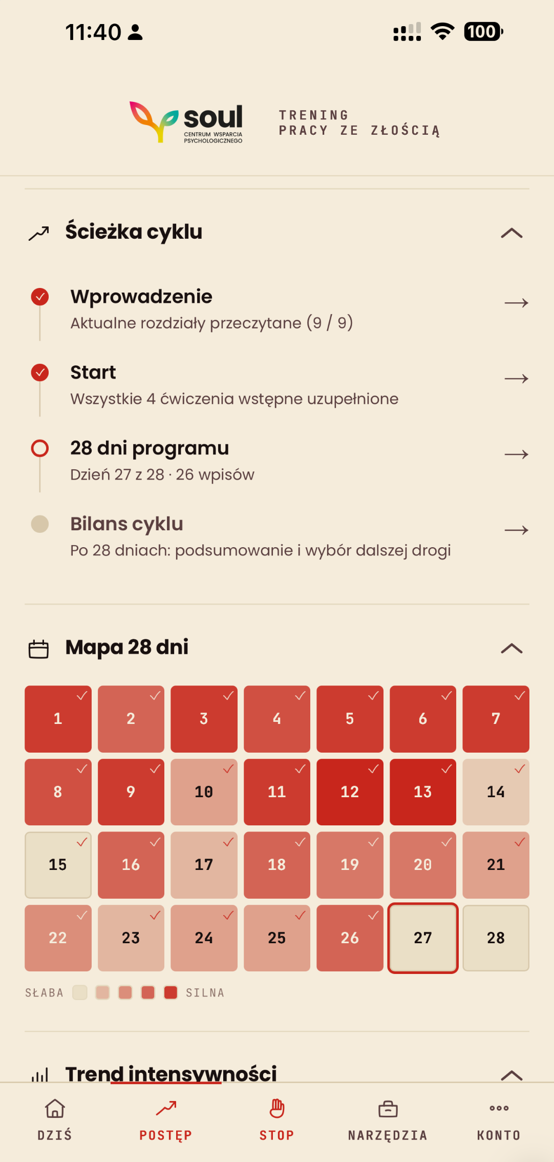 Notes Soul - Trening pracy ze złością